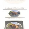 2013 1 oz Pure Silver Color Coin - Canadian Wildlife Series - Bison