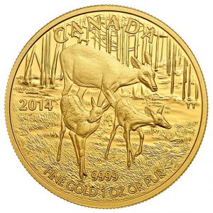 2014 1 oz. Pure Gold Coin - White Tailed Deer: Quietly Exploring