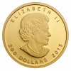 2015 $200 1oz Pure Gold Coin - Call of the Wild - Growling Cougar