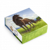 2015 $100 1 oz Fine Silver Coin - Canadian Horse