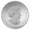 2015 $200 2 oz Fine Silver Coin - Canada's Rugged Mountains