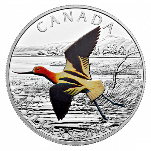 *THE MIGRATORY BIRDS CONVENTION: 100 YEARS OF PROTECTION  THE AMERICAN AVOCET - 2016 $20 1 oz Fine Silver Coin - Royal Canadian Mint