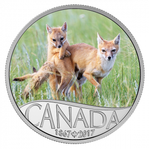 *WILD SWIFT FOX AND PUPS - CELEBRATING CANADA'S 150TH - 2017 $10 1/2 oz Fine Silver Coin - Royal Canadian Mint