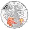 2013 1 oz Silver Coin - Canadian Maple Canopy (Autumn)