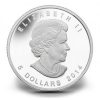 2014 1 oz Silver Coin - Maple Leaf Summer Landscape Color
