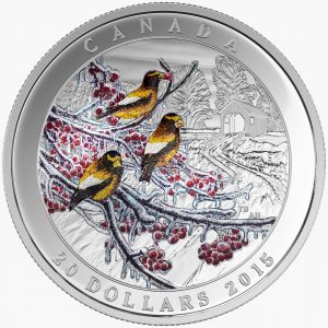 WEATHER PHENOMENON: WINTER FREEZE - 2015 $20 1 oz Fine Silver Coin - Royal Canadian Mint*