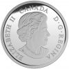 2015 $20 1 oz Fine Silver Coin - Majestic Elk