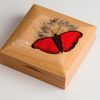 EXOTIC BUTTERFLIES IN 3D - CYMOTHOE HOBART  - 2016 1000 Shillings 25g Pure Silver Coin - Coin Invest Trust