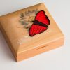 EXOTIC BUTTERFLIES IN 3D - CYMOTHOE HOBART  - 2016 1000 Shillings 25g Pure Silver Coin - Coin Invest Trust