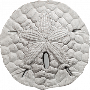 SAND DOLLAR - 2017 $1 1 oz Pure Silver Coin - Palau