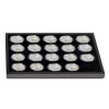 Additional Tray for 20 American Silver Eagle Coins