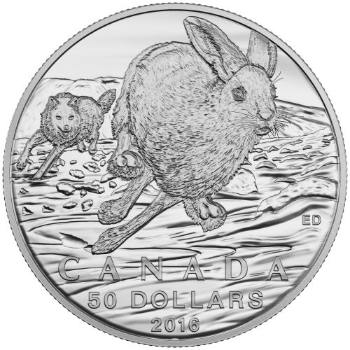 HARE - 2016 $50 1/2 oz Fine Silver Coin - Royal Canadian Mint