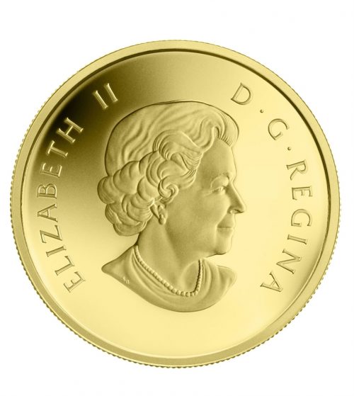 2014 1/10 oz Pure Gold Coin - Goose