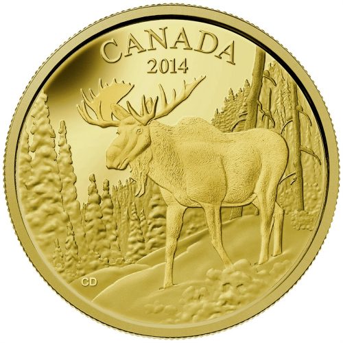 2014 Pure Gold Coin - The Majestic Moose
