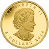 2014 1/10 oz. Pure Gold Coin - Five Blessings