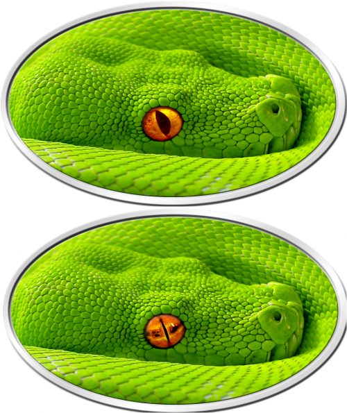 GREEN TREE PYTHON - LENTICULAR FLIP EYE - XL RELIEF - 2016 1 oz Pure Silver Coin - Digital Printing 5C on High Relief - Niue Island