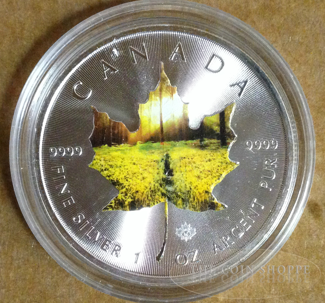 2014 1 oz Silver Coin - Maple Leaf Summer Landscape Color