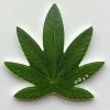 2011 Plant shaped Cannabis Marijuana Proof Coin - 100 Francs - Benin