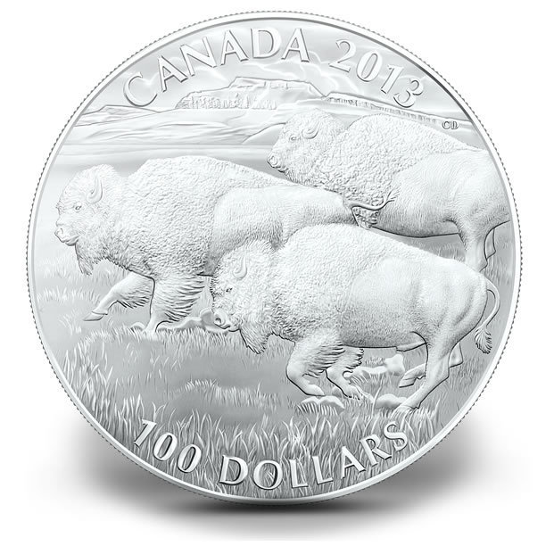 2013 Bison $100 for $100 Fine Silver Coin