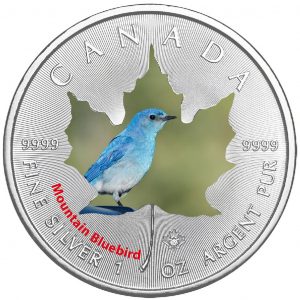 MOUNTAIN BLUEBIRD - CANADIAN BIRDS - 2017 1 oz Maple Leaf Silver Coin