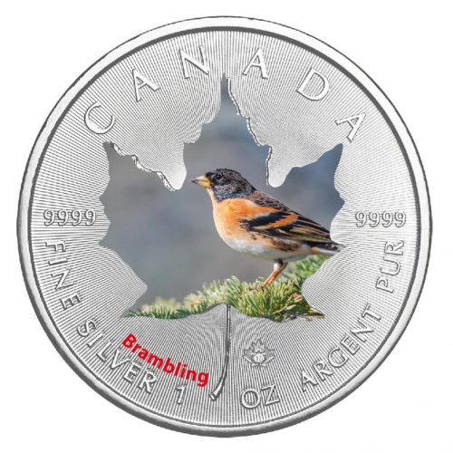 BRAMBLING - CANADIAN BIRDS - 2017 1 oz Maple Leaf Silver Coin
