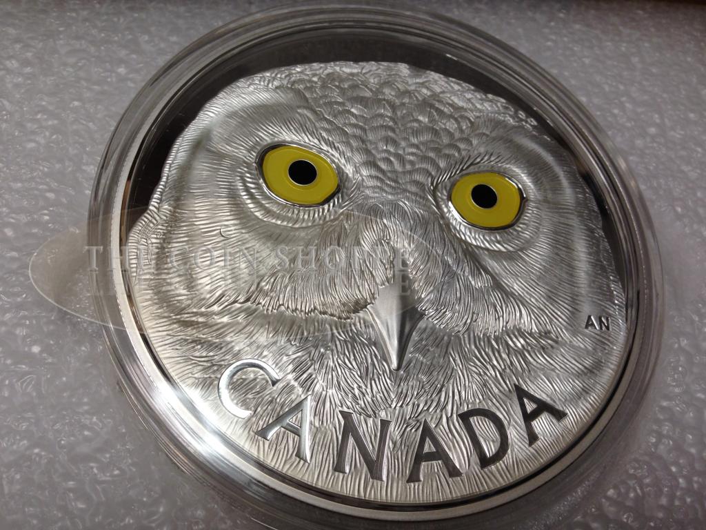 2014 $250 Pure Silver 1 Kilo Coin - In the Eyes of the Snowy Owl