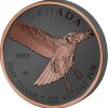 BIRDS OF PREY - GOLDEN ENIGMA - 2014 - 2015 4 x 1 oz Canadian Silver Coin - Black Ruthenium & Gold Plated