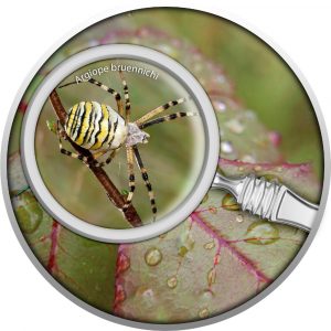 WASP SPIDER - THE SECRET GARDEN - 2021 Pure Silver Coin with MAGNIFYING GLASS - Cameroon - Mint of Poland