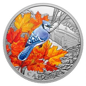 BLUE JAY COLORFUL BIRDS – 2021 $20 1 OZ PURE SILVER COIN – ROYAL CANADIAN MINT