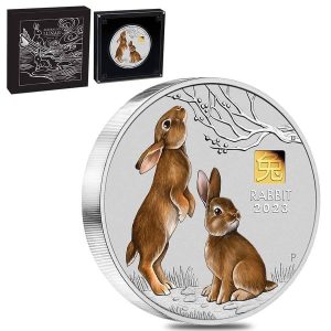 YEAR OF THE RABBIT KILO COIN WITH GOLD PRIVY MARK 2023 1 Kilo Pure Silver Proof Coin with 1 Gram of Gold