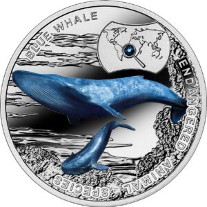 Blue Whale World Endangered Animal Species 2015 $1 Silver Colored Proof Coin - Niue - Mint of Poland
